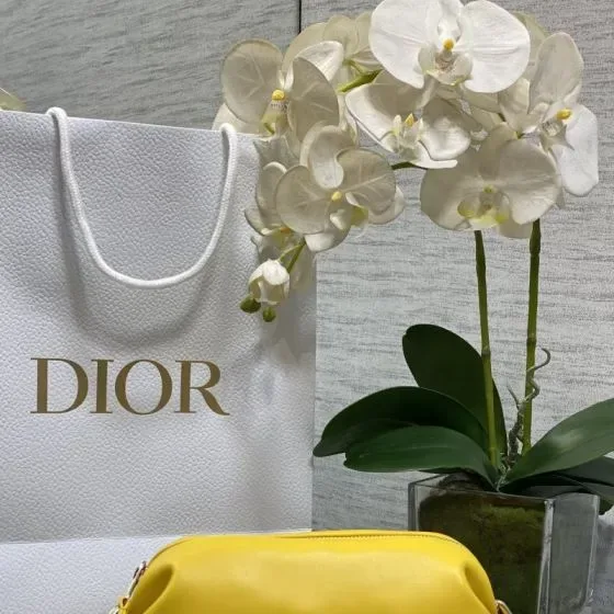 Dior Yellow Pouch