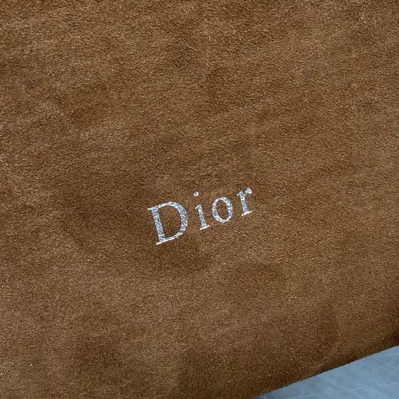 Dior Brown Hobo
