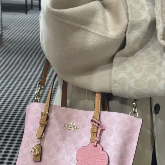 Coach Mollie Tote 22 In Signature Canvas Powder Pink 22 20 11cm Tote Bag