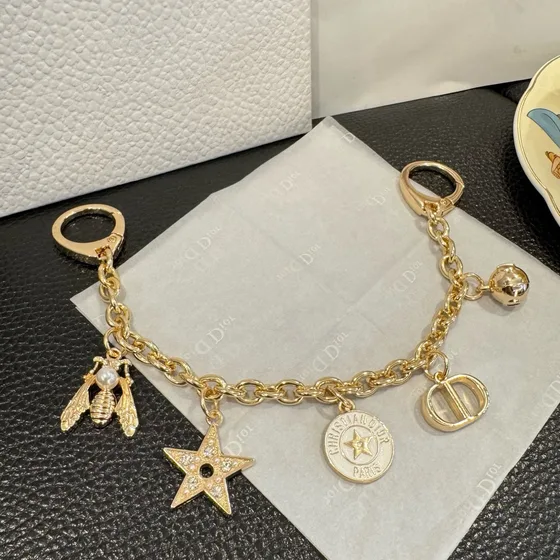 Dior Dio R Evolution Bag Charm Chain Gold Pouch