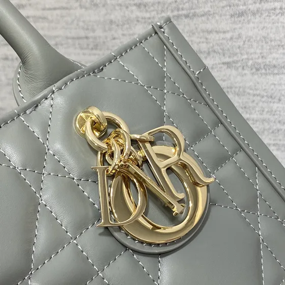 Dior Dior Book Tote Gray Shoppertasketur