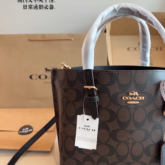 Coach Mollie Tote Bag 25 Brown Black Tote Bag
