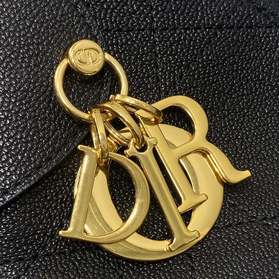 Dior Diorstar Hobo Bag With Strap Noir Hobo