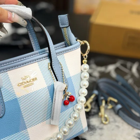 Coach Mini City Tote Light Blue White Gingham Tote Bag