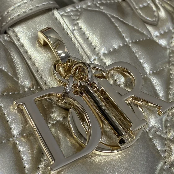 Dior Dior Toujours สีทอง Tote Bag