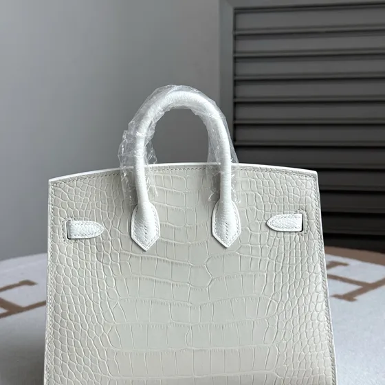 Hermes Birkin 20 Faubourg Sellier White Grey 20cm Top Handle
