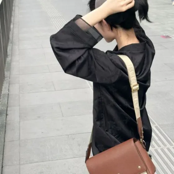 Burberry Aren Messenger Bag Brown Crossbody