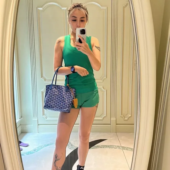 Goyard Anjou Mini Tote Sky Blue 20 10 20 Tote Bag