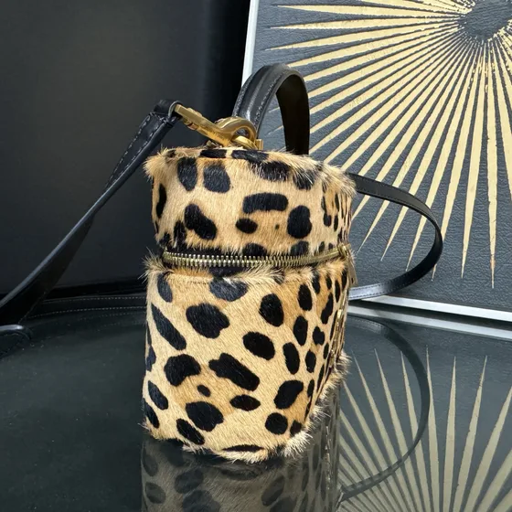 YSL Gaby Vanity Bag Leopard Print (Beige Base With Noir Spo Anse supérieure