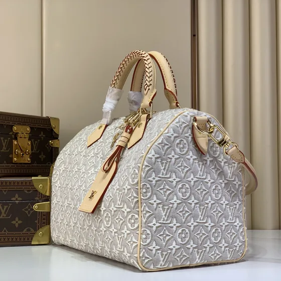 Louis Vuitton Speedy Light Gray Top Handle