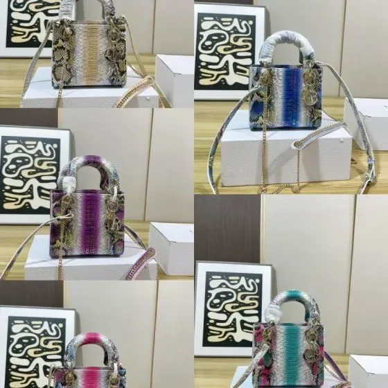 Dior Lady Dior Multicolor Asa superior