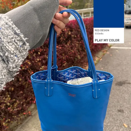 Goyard Anjou Mini Sky Blue Tote Bag