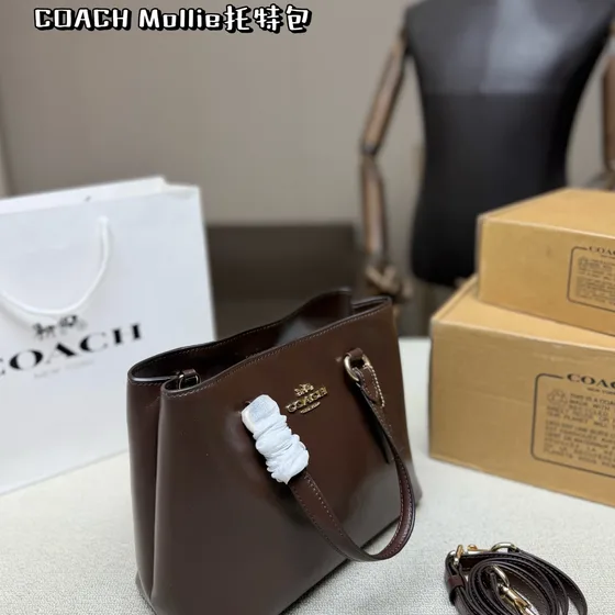 Coach Mollie Borsa tote Marrone Borsa tote