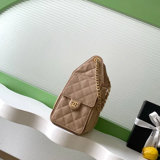 Chanel 25 Small Hobo Bag Beige Hobo