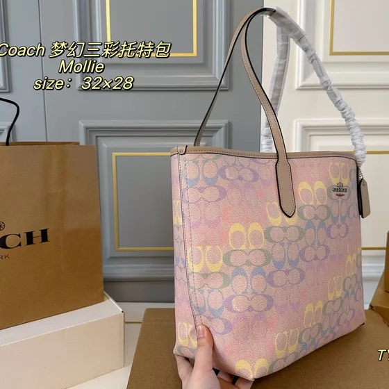 Coach Mollie Tote Multicolore 32x28cm Sac cabas