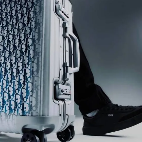 Dior valise Oblique travel