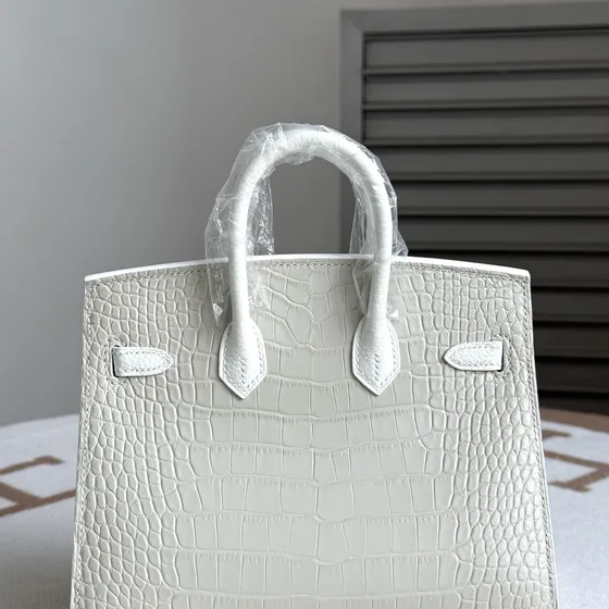 Hermes Birkin 20 Faubourg Sellier White Grey 20cm Top Handle
