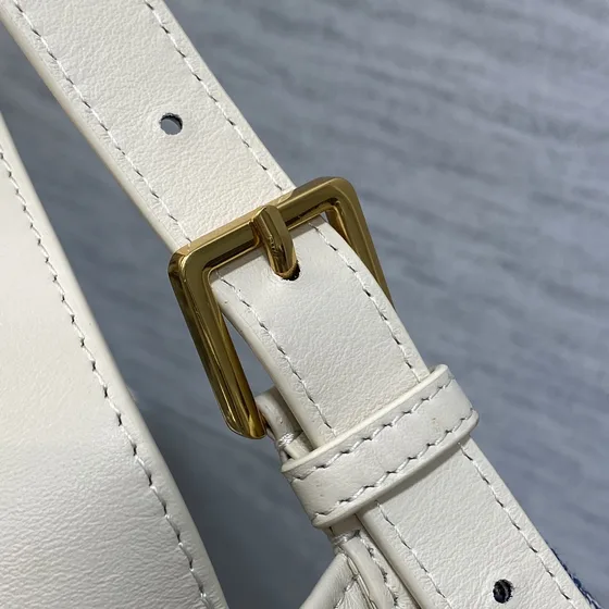 Dior Diorstar Hobo Bag أزرق/أبيض Hobo