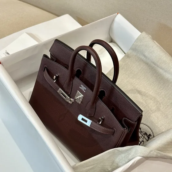 Hermes Birkin 25 Dark Brown Top Handle