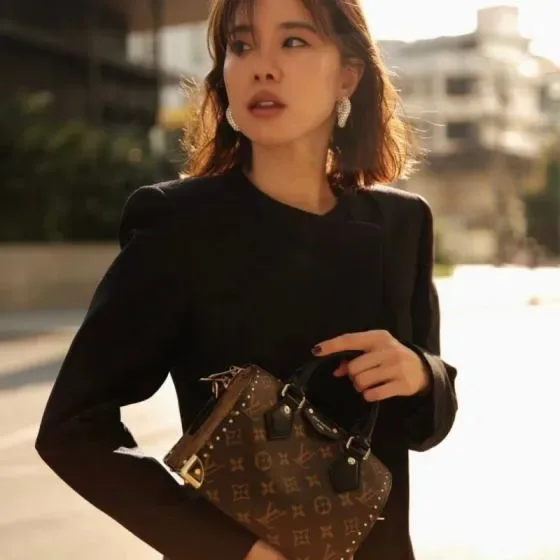Louis Vuitton Speedy Brown Top Handle