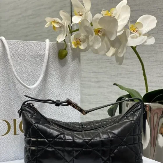 Dior Diortravel Nomad Pouch Black Hobo