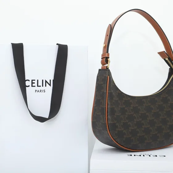 Celine Ava Bag Triomphe Canvas Brown Hobo