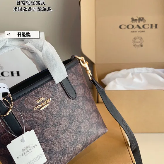 Coach Mini Tote Bag Brown Black Tote Bag