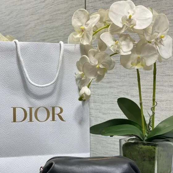 Dior Black Pouch
