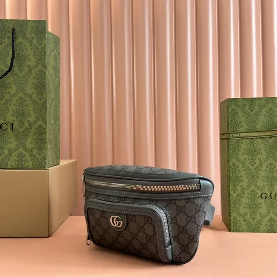 Gucci Ophidia Gg Belt Bag Grau Belt Bag