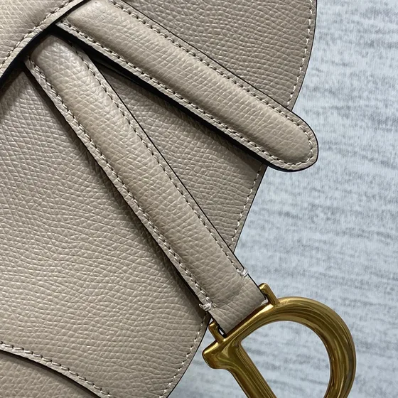 Dior Saddle Bag Beige Shoulder Bag