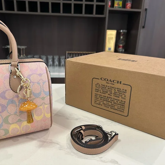 Coach Rowan Satchel Rainbow Pastel Signature Crossbody