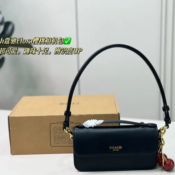Coach Elora Camera Bag With Cherry Charm Brown Crossbody