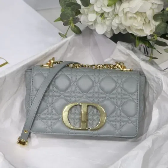 Dior Caro Light Gray Crossbody