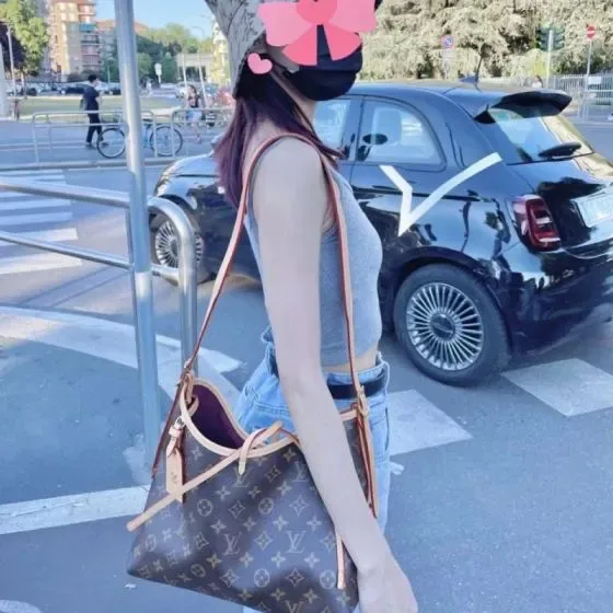 Louis Vuitton Carryall Brown Shoulder Bag