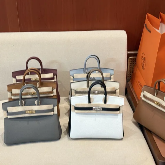 Hermes Birkin Fargerik Tophåndtak