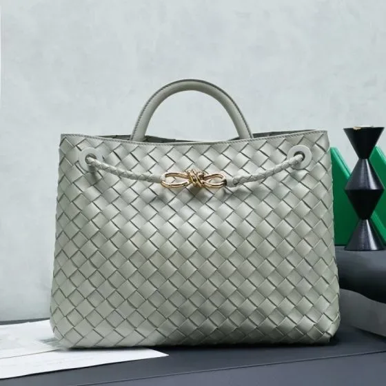 Bottega Veneta Andiamo Light Gray Top Handle