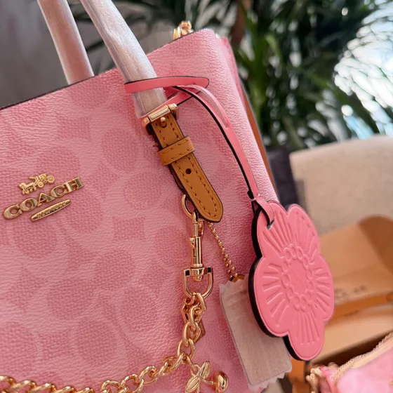 Coach Mollie Tote 25 Powder Pink Tote Bag