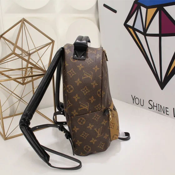 Louis Vuitton Palm Springs Marrom Monogram Reverse Mochila