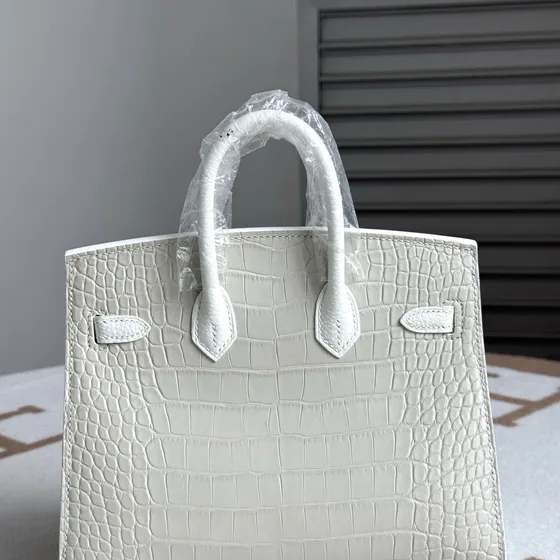 Hermes Birkin Faubourg Sellier 20 White 20cm Top Handle