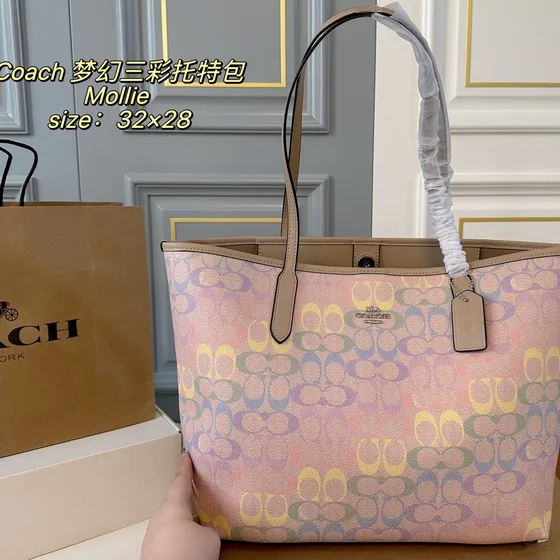 Coach Mollie Tote Multicolore 32x28cm Sac cabas