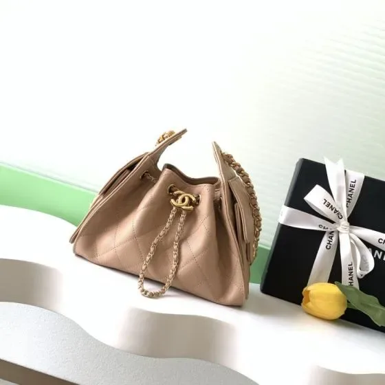 Chanel 25 Small Hobo Bag Beige Hobo