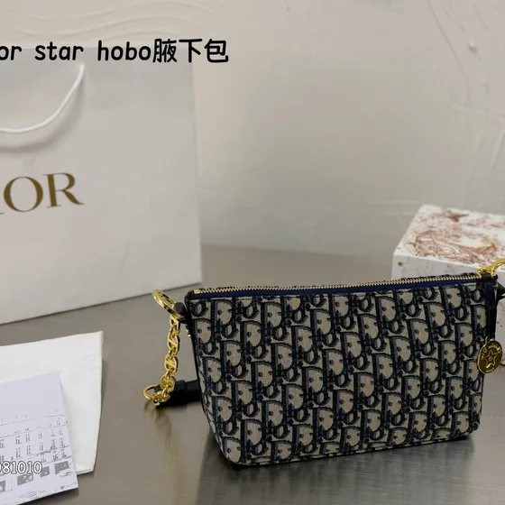 Dior Diorstar Hobo Bag Blå/Beige Hobo
