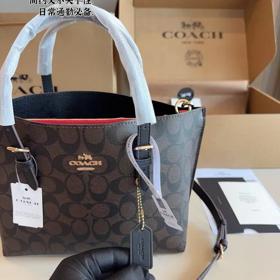 Coach Mollie Tote Bag 25 بني/أسود Tote Bag