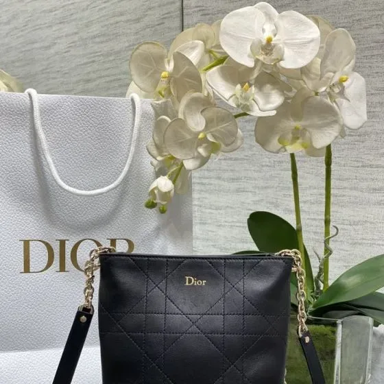 Dior Black Crossbody