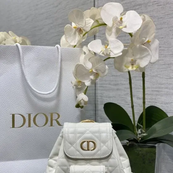 Dior Dior Caro Backpack White Backpack