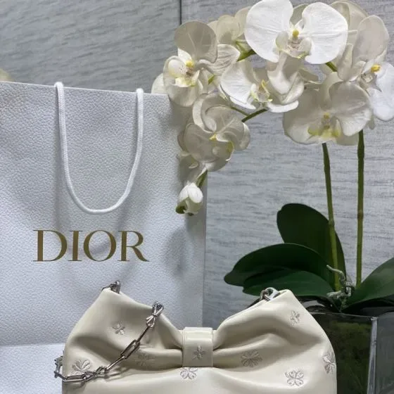 Dior Saddle Bow Bag White Shoulder Bag