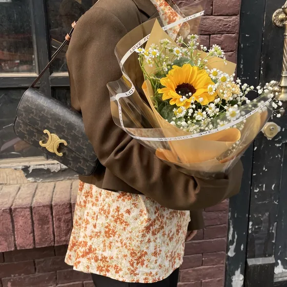 Celine Triomphe Tan Bolso bandolera