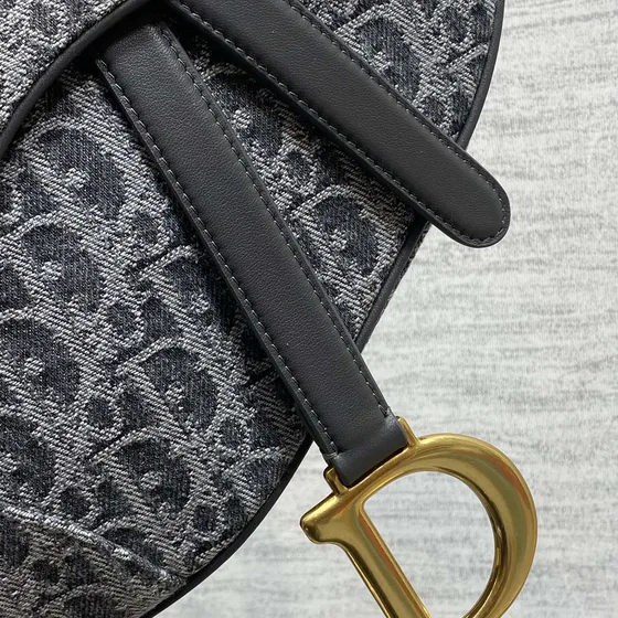 Dior Saddle Bag Gray Shoulder Bag