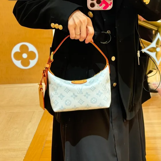 Louis Vuitton Hills Pochette White Shoulder Bag