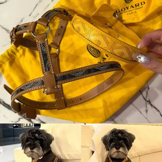 Goyard Edison Brown Backpack